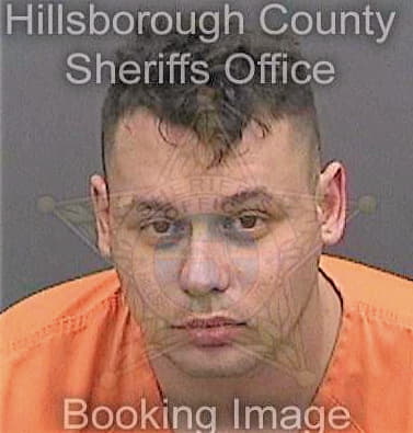 Simpson Gary - Hillsborough County, FL 