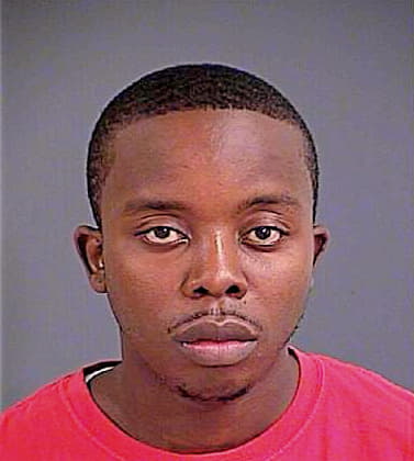 Johnson Ray - Charleston County, SC 