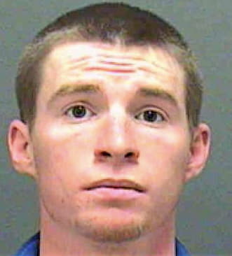 Blevins Theodore - Mecklenburg County, NC 