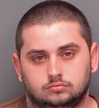 Davis Brian - Pinellas County, FL 