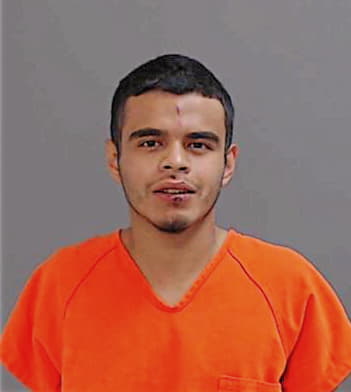 Alvarado Eduardo - Hidalgo County, TX 