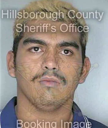 Ledesma Jesus - Hillsborough County, FL 