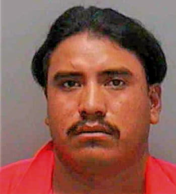 Alvarez Pedro - Lee County, FL 