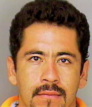 Portillo Penaloza - Polk County, FL 
