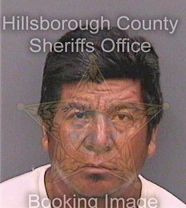 Velasquezvelasquez Miguel - Hillsborough County, FL 