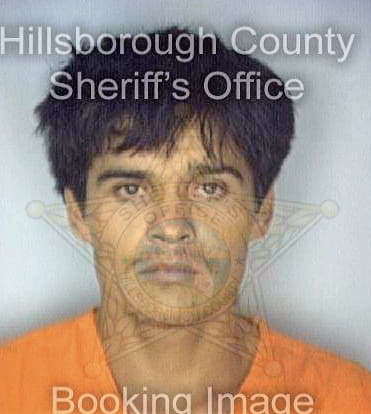 Balderas Octavio - Hillsborough County, FL 