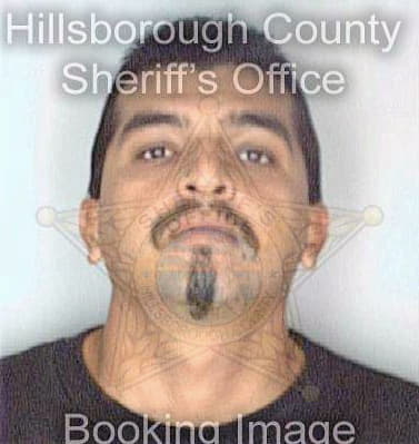 Martinez Angelo - Hillsborough County, FL 