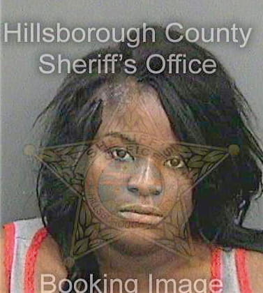 Williams Debrela - Hillsborough County, FL 