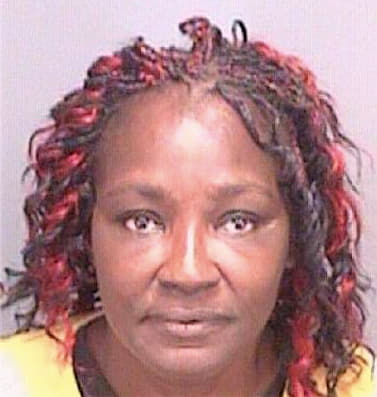 Alexander Diana - Pinellas County, FL 