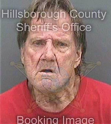 Snyder Gilbert - Hillsborough County, FL 