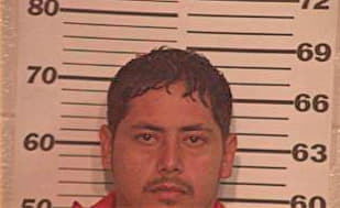 Araiza Jesus - Hidalgo County, TX 