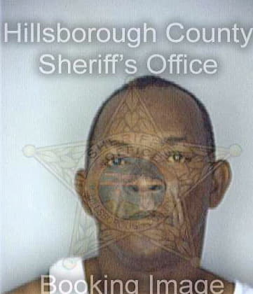 Briscoe Lewis - Hillsborough County, FL 