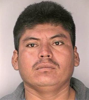 Hernandezatlas Andres - Hillsborough County, FL 