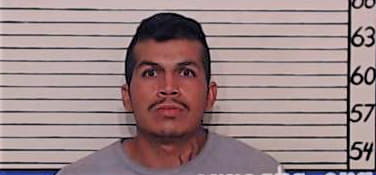 Guerrero Diego - Comal County, TX 