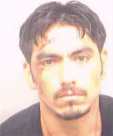 Neri Esteban - Fulton County, GA 