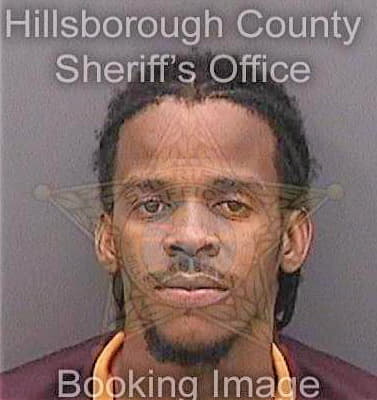 Mcleod Landy - Hillsborough County, FL 