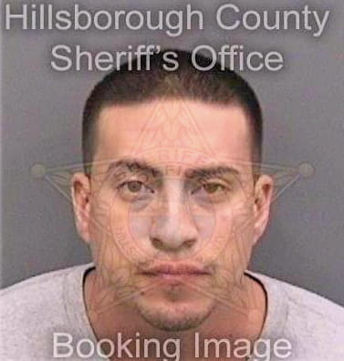 Velez Luis - Hillsborough County, FL 