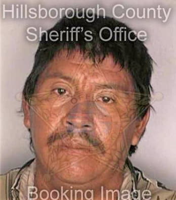 Herrera Octavio - Hillsborough County, FL 