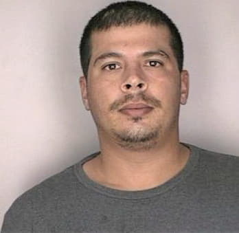 Silva Seferino - Hillsborough County, FL 