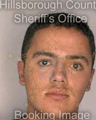 Rodriguez Vinicio - Hillsborough County, FL 