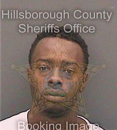 Barnes Eric - Hillsborough County, FL 