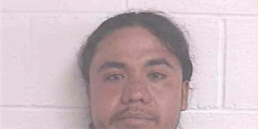 Honhueras Lalo - Jackson County, GA 
