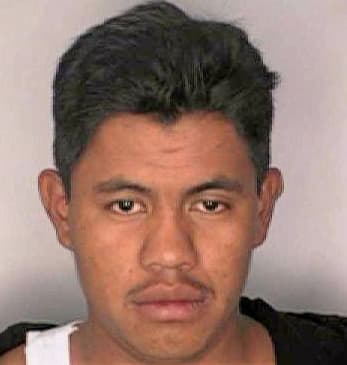 Morales Luis - Hillsborough County, FL 