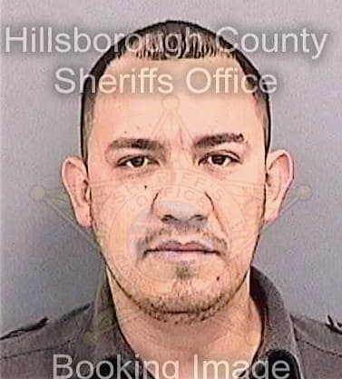 Espinoza Alvaro - Hillsborough County, FL 