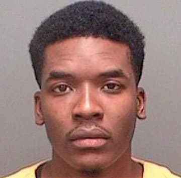 Emery Brendan - Pinellas County, FL 