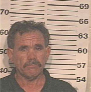 Flores David - Hidalgo County, TX 