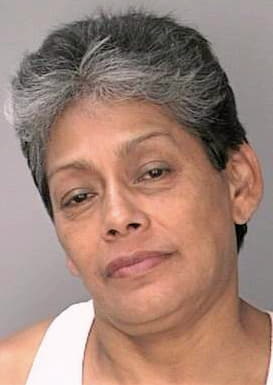 Santana Elsa - Hillsborough County, FL 