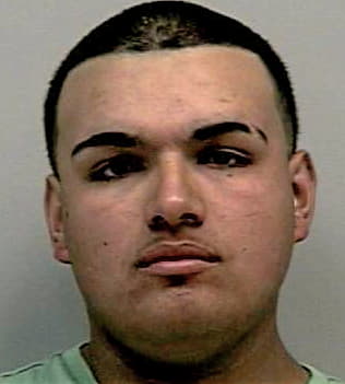 Perez Luis - Gwinnett County, GA 