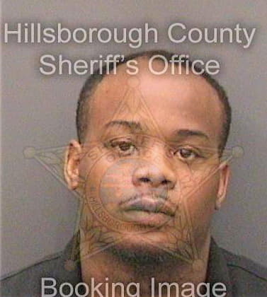 Cobb Michael - Hillsborough County, FL 