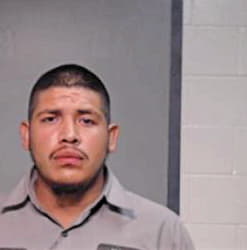 Lechuga Miguel - Hidalgo County, TX 