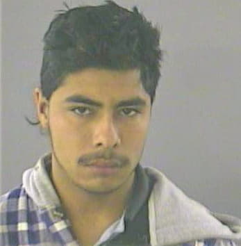 Ortiz Ricardo - Gwinnett County, GA 