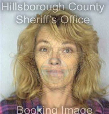 Braswell Sarah - Hillsborough County, FL 