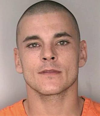 Mancini William - Hillsborough County, FL 