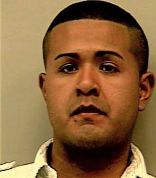 Ramirez Daniel - Gwinnett County, GA 