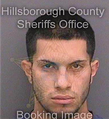 Vasquezmalave David - Hillsborough County, FL 