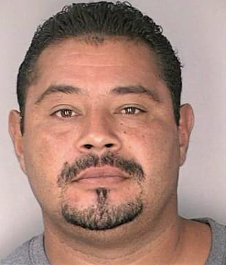 Calderon Gilberto - Hillsborough County, FL 