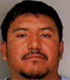 Martinez Luis - Polk County, FL 