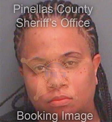 West Mitzila - Pinellas County, FL 