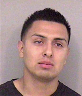 Delgado Nestor - Madera County, CA 