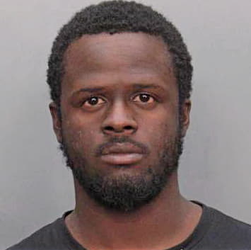 Anderson Nykolas - Dade County, FL 