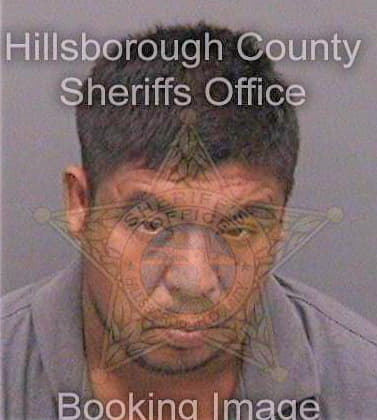 Tenchipe Juan - Hillsborough County, FL 