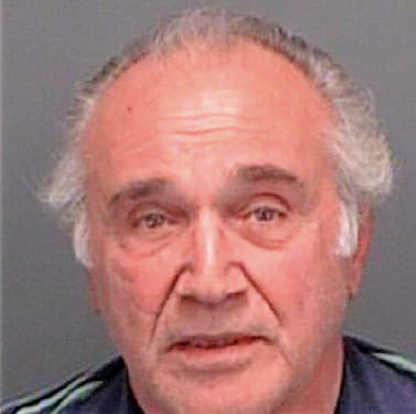 Napolitano Nicholas - Pinellas County, FL 