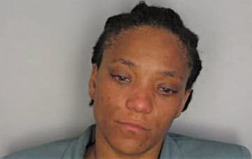 Wilson Shlisa - Hillsborough County, FL 
