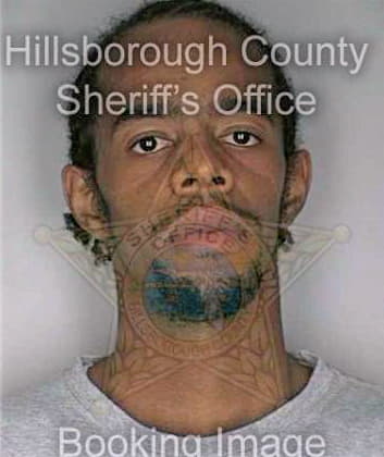 Rogers Alphonsa - Hillsborough County, FL 
