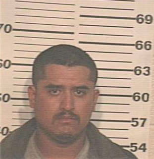 Gonzalez Julio - Hidalgo County, TX 