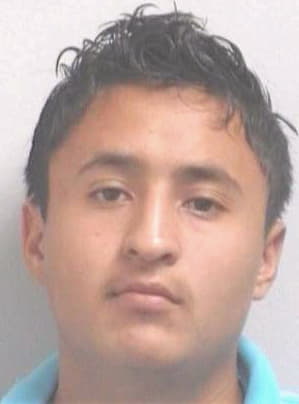 Sanchez Luis - Henry County, GA 